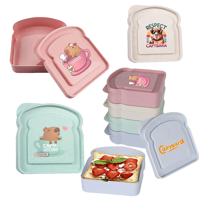Food Snacks Wholesale - กล่องเก็บอาหารลายคาปิบารา สำหรับใส่แซนวิช สลัด ผลไม้ ขนม กล่องอาหารกลางวันแบบมีฝาปิด