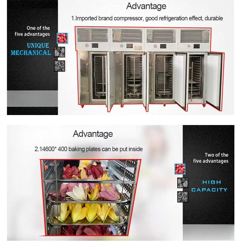 เครื่องแช่แข็งแบบรวดเร็ว FL ทำ - Quick Food Snacks บทวิจารณ์และราคา