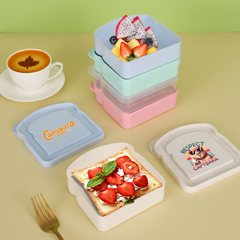 กล่องเก็บอาหารลายคาปิบารา สำหร - Food Snacks Wholesale บทวิจารณ์และราคา